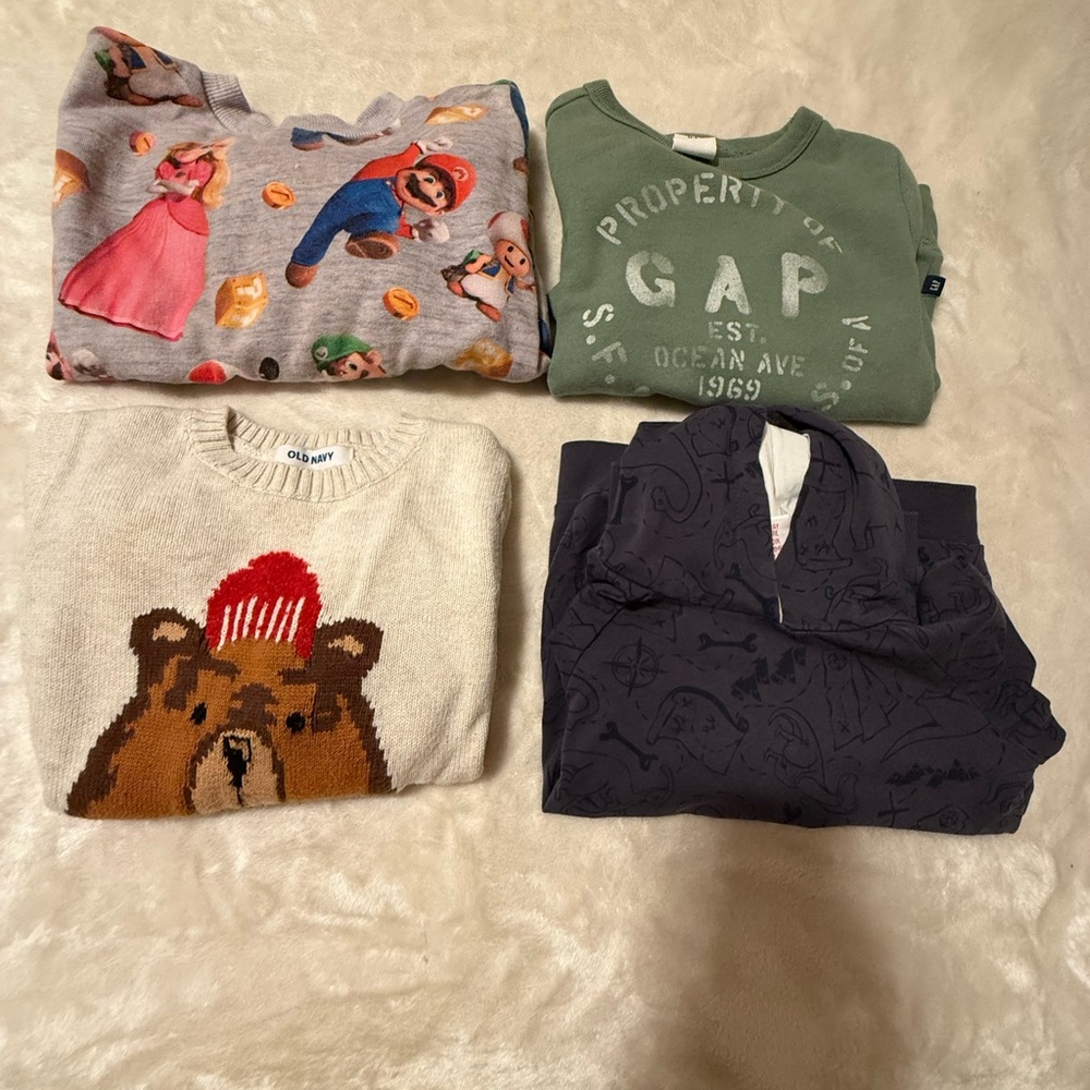 Boy’s Sweatshirt Lot